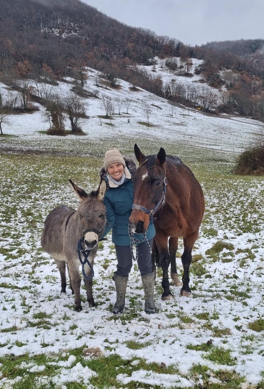 Physiothérapie Canin et Equin