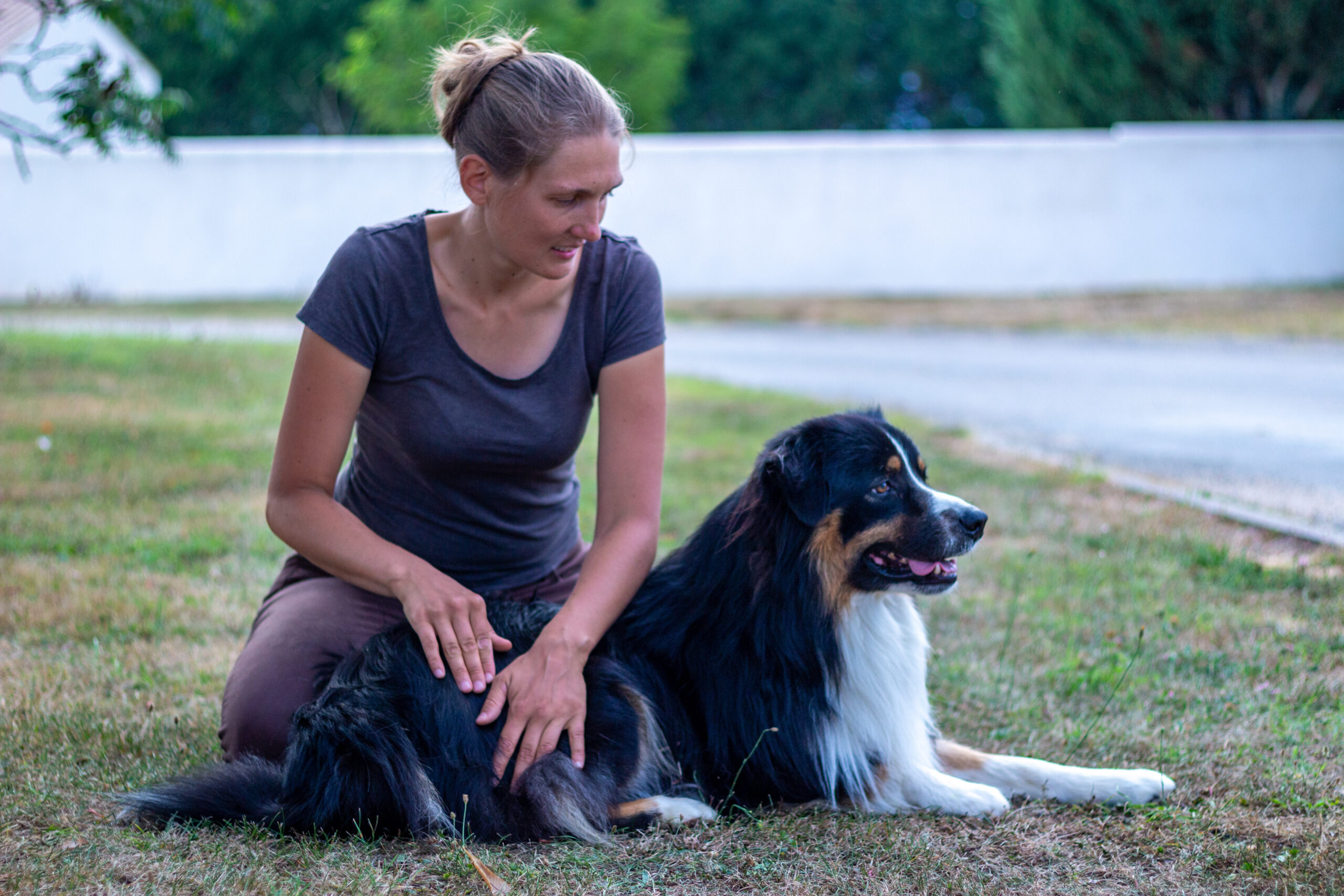 Massage chien Aude Grognet en séance de massage pour chien