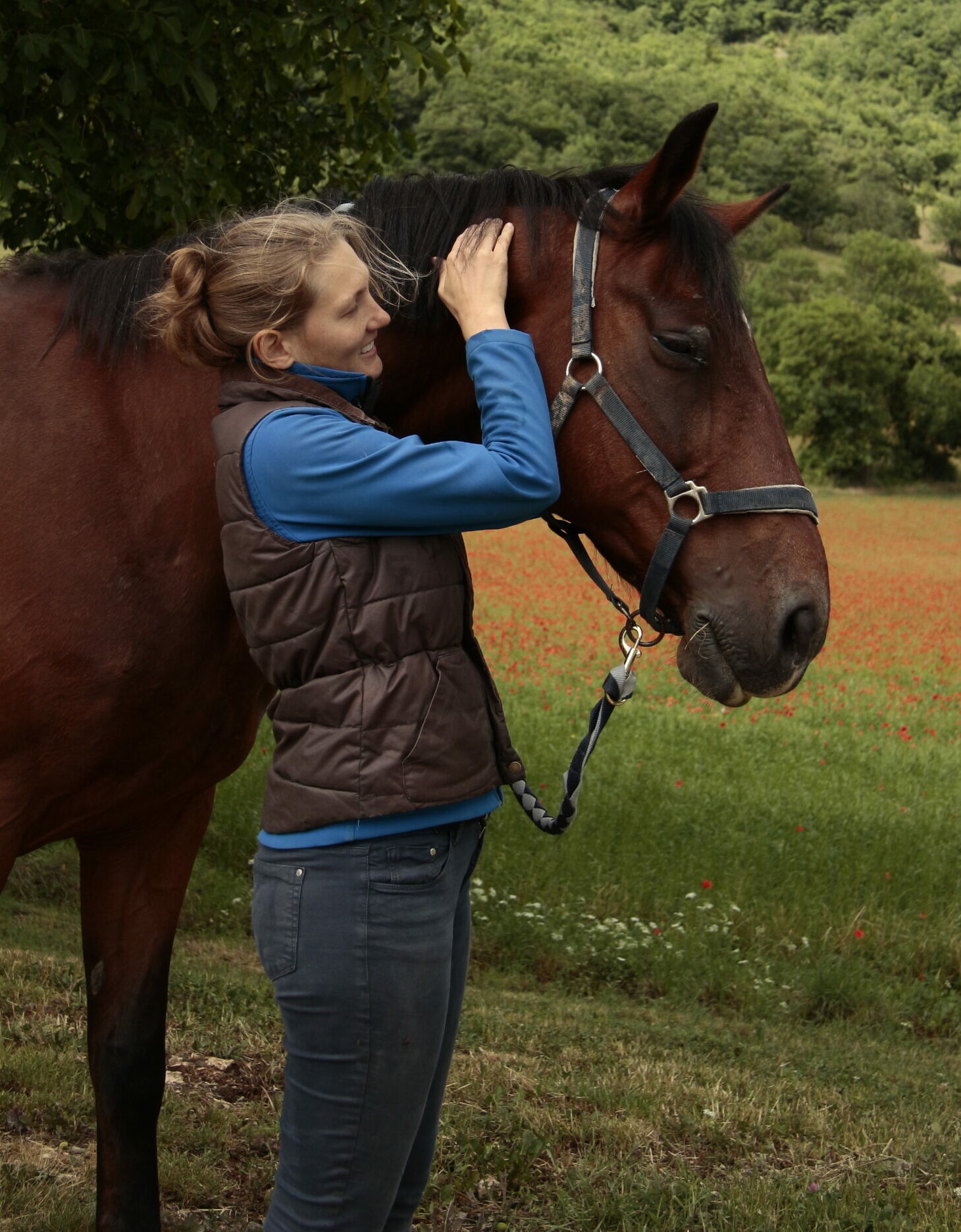 aude grognet séance cheval physiothérapie Aude Grognet en séance de physiothérapie avec un cheval